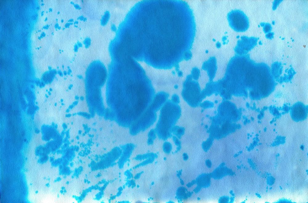 Löschpapier---Färbung-2020--17