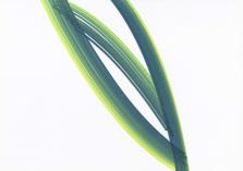 OF_Zeichnungen_Februar_2010_028