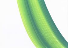 OF_Zeichnungen_Februar_2010_068