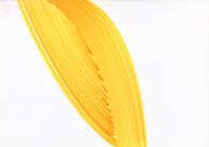 OF_Zeichnungen_Februar_2010_123